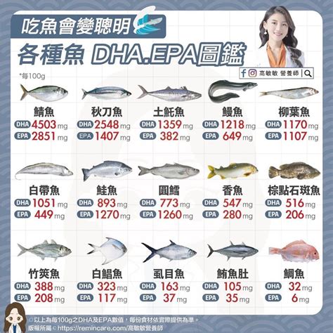 魚排行榜